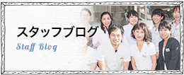 スタッフブログ