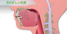 いつも舌が歯に触れている、上あごについていない
