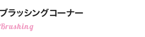 ブラッシングコーナー